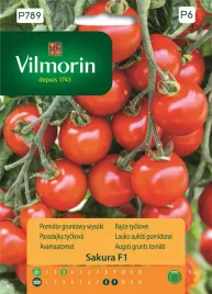 pomidor-gruntowy-wysoki-sakura-f1-9szt-nasion-vilmorin-odporny-miesisty
