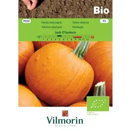 dynia-pomaranczotwa-jack-olantern-3-g-tyou-halloween-vilmorin-bio