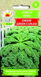 jarmuz-niski-dwarf-green-curled-bogaty-w-witaminy-i-mineraly-do-koktajli