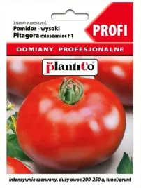 pomidor-pitagora-f1-10-sztuk-odporny-na-choroby-do-250g-plenny-plantico