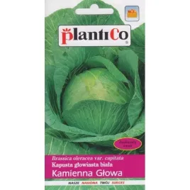 plantico-kapusta-kamienna-glowa-24g-pozna-do-przechowywania-duze-glowki