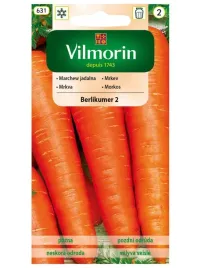 marchew-berlikumer-2-nasiona-5-g-pozna-plenna-na-jesienny-zbior-krucha