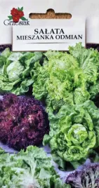 salata-1g-mieszanka-odmianowa-mix-salat-krucha-karbowana-maslowa