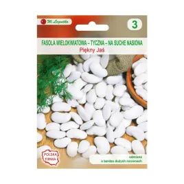 fasola-piekny-jas-35g-odmiana-tyczna-pozna-plenna-na-suche-nasiona