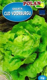 salata-cud-voorburgu-nasiona-srednio-pozna-do-uprawy-w-polu-smaczna-1-g