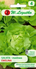salata-ewelina-nasiona-1g-maslowa-do-calorocznej-uprawy-plena-legutko