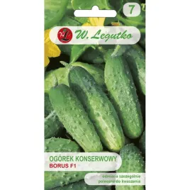 ogorek-gruntowy-do-kwaszenia-borus-f1-4g-srednio-wczesny-plenny-odporny