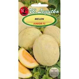 melon-junior-f1-nasiona-1g-bardzo-wczesny-pomaranzowy-gruby-soczysty