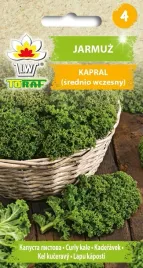 jarmuz-kapral-jarmuz-zielone-liscie-nasiona-odporny-na-mrozy-plenny-1g