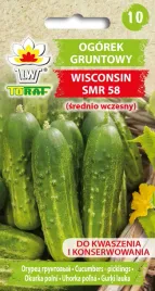 ogorek-gruntowy-wisconsin-smr-58-5g-toraf-do-kwaszenia-i-konserwowania