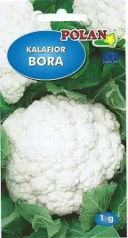 nasiona-kalafior-bora-bialy-srednio-wczesna-odporna-na-choroby-1g