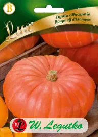 pomidory-dynia-olbrzymia-rouge-vif-d-etampes-nasiona-3-g