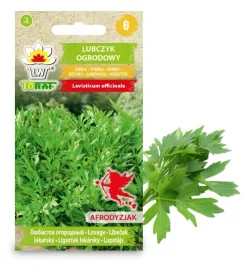 lubczyk-ogrodowy-lekarski-nasiona-ziol-przyprawa-aromatyczny