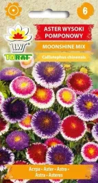 aster-moonshine-wysoki-pomponowy-mix-nasiona-05g-dwu-kolorowy