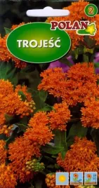 trojesc-pomaranczowa-bylina-nasiona-kwiatow-wieloletnia-miododajna-03g