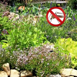 mieszanka-antykomarowa-wlasciwosci-odstraszajace-komary-meszki-100g