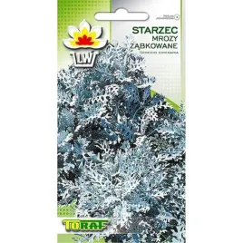 toraf-nasiona-starzec-mrozy-zabkowane-02g-nasiona-do-ekoracji-mrozow