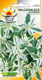 wilczolecz-bialobrzegi-03-g-nasiona-ostrawa-krety-i-nornice-toraf