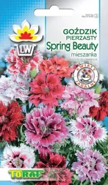 toraf-nasiona-gozdzik-pierzasty-mix-spring-beauty