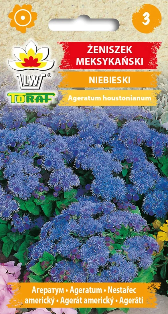 zeniszek-meksykanski-niebieski