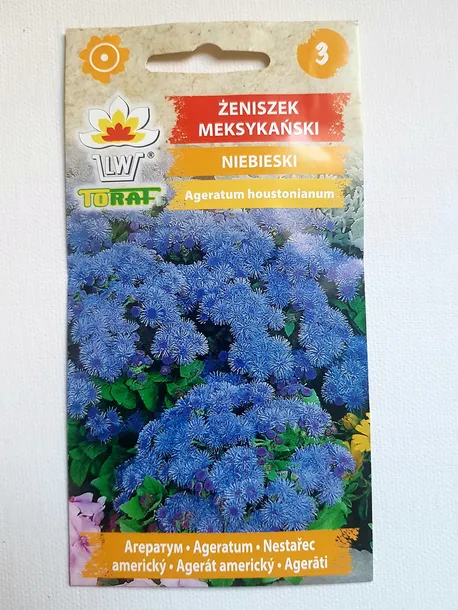 zeniszek-meksykanski-niebieski-cechy-charakterystyczne-lubiace-cien-oczyszczajace-powietrze-proste-w-pielegnacji-przyjazne-dla-zwierzat-rzadko-spotykane