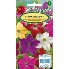 tyton-ozdobny-pachnace-kwiaty-silnie-kwitnie-przyciaga-motyle-owady-1g