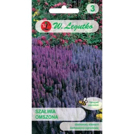 szalwia-omszona-01g-nasiona-przyciaga-owady-zapylajace-fioletowa-nasiona
