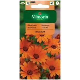 nasiona-dimorfoteka-1-g-tetra-goliath-pomaranczowa-vilmorin-ogrody-rabaty