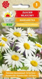 zlocien-margerytka-nasiona-1g-toraf-rabaty-kwiaty-ciete