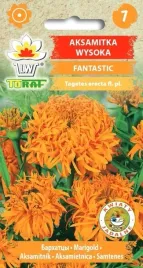 aksamitka-fantastic-pomaranczowa-kwiaty-jadalne-do-wysoka-100cm-05g