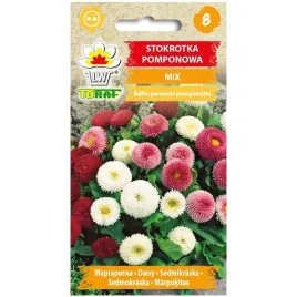 stokrotka-pomponowa-01-g-mix-biala-rozowa-czerwona-nasiona-wieloletnia