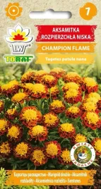 aksamitka-rozpierzchla-champion-flame-kwiaty-jadalne-karlowa-05g-toraf