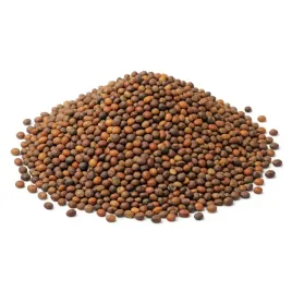 rzepa-pastewna-polybra-poplon-nawoz-szybko-rosnaca-500g-na-pasze