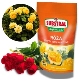 nawoz-rozpuszczalny-interwencyjny-substral-do-roz-magiczna-sila-300g