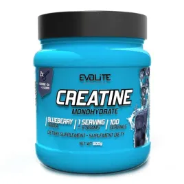evolite-creatine-monohydrate-500-g