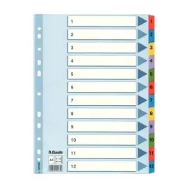 przekladki-kartonowe-mylar-a4-esselte-bialy-1-12