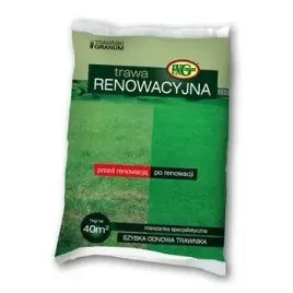 trawa-jak-malowana-mieszanka-renowacyjna-1-kg-fngranum