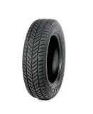 profil-inga-175-65-r14-82-t