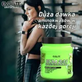 evolite-bcaa-2-1-1-400-g