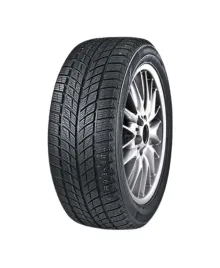 double-star-dw09-245-45-r18-96-t