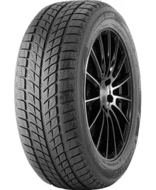 doublestar-dw09-225-45-r18-xl-95-t