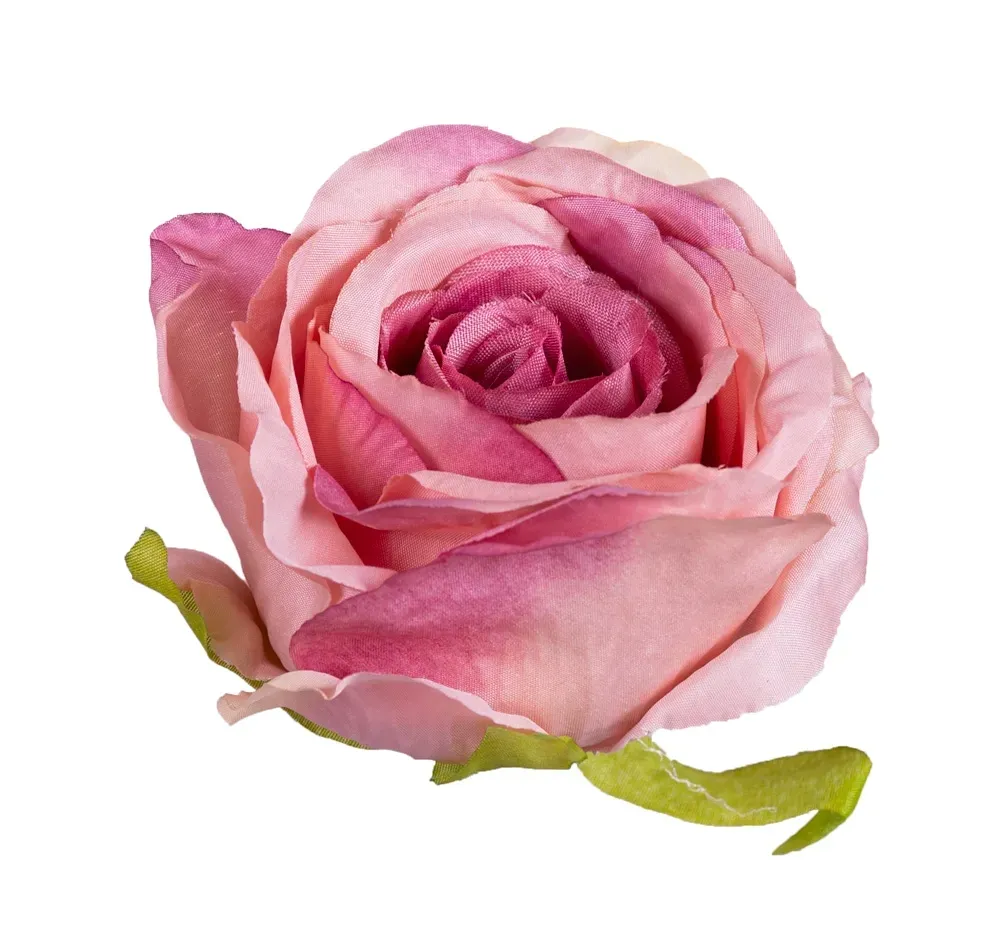 roza-memory-glowka-jesienny-roz