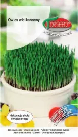 owies-wielkanocny-na-zielono-10g-nasiona-owsa-uprawa-w-ogrodzie