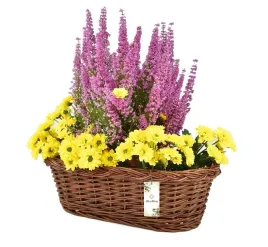 korytko-skrzynka-wrzosy-oslonka-na-cmentarz-ozdoba-na-grob-37-cm