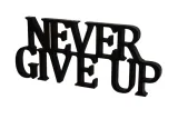 napis-3d-never-give-up
