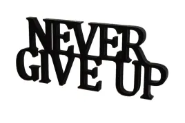 napis-3d-never-give-up
