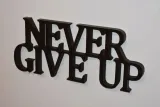 napis-3d-never-give-up-stan-nowy