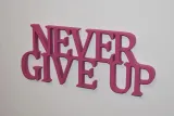 napis-3d-never-give-up-stan-nowy