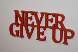 napis-3d-never-give-up-stan-nowy