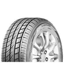 fortune-fsr303-255-55-r19-111-v